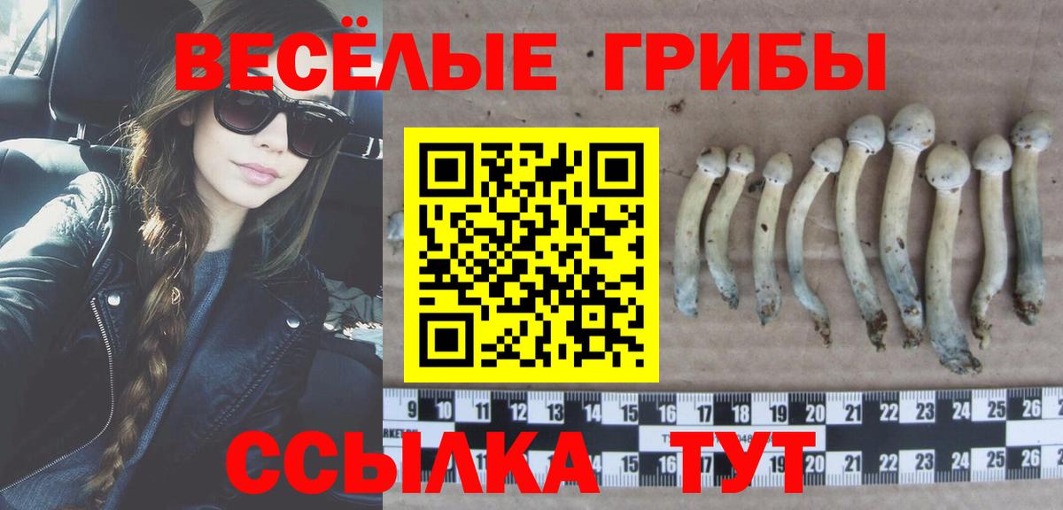 где найти   Псилоцибиновые грибы Psilocybe  Вход с VPN  Лыткарино  Галлюциногенные грибы Cubensis 